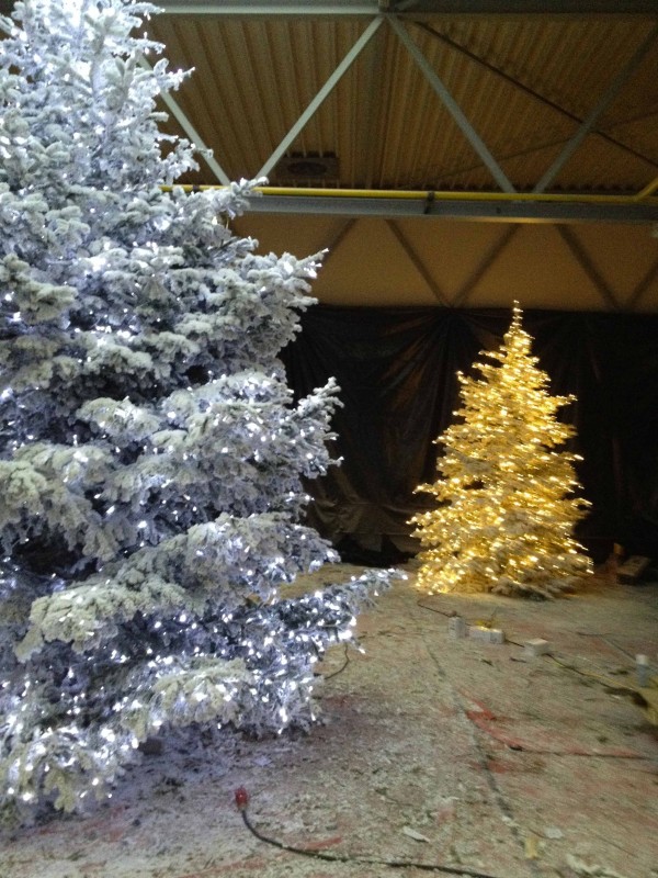 Sapins de Noël blancs et dorés dans hangar de stockage